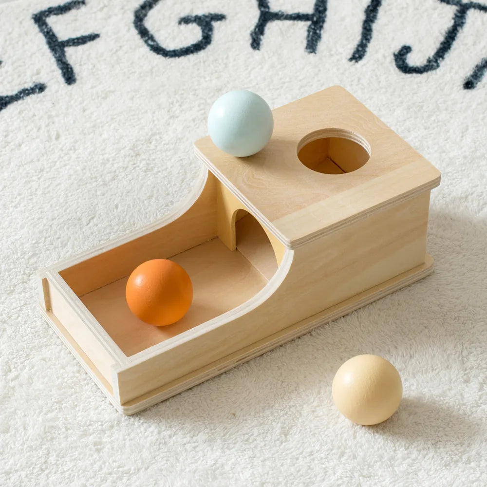 Montessori Coin Ball Drum